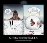 Motivational Ninja Snowballs.jpg